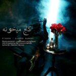 دانلود آهنگ هامون قارون کنج میخونه